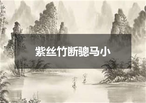紫丝竹断骢马小