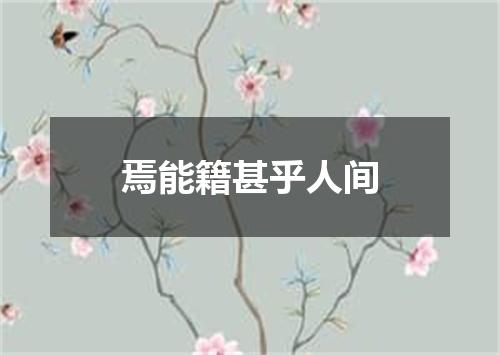 焉能籍甚乎人间