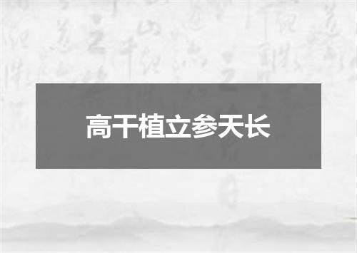 高干植立参天长