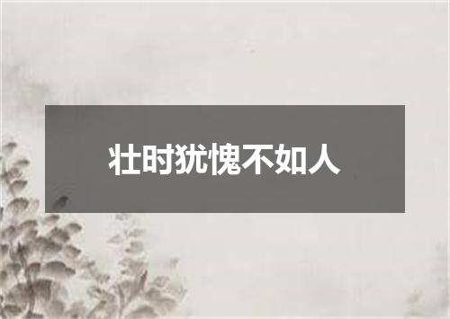 壮时犹愧不如人