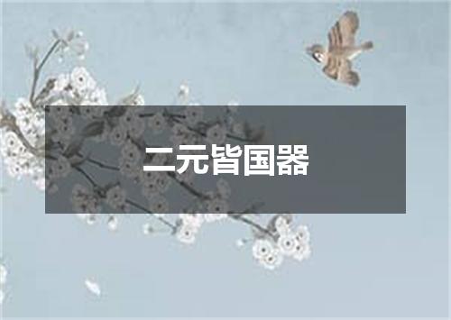 二元皆国器