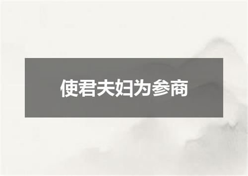 使君夫妇为参商
