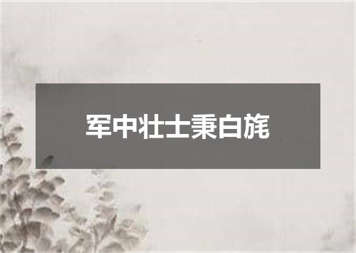 军中壮士秉白旄