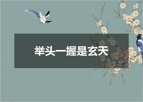 举头一握是玄天