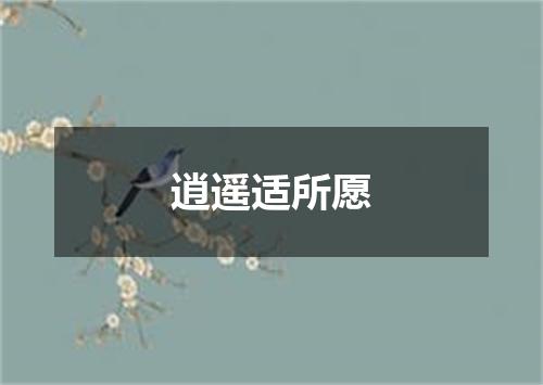 逍遥适所愿