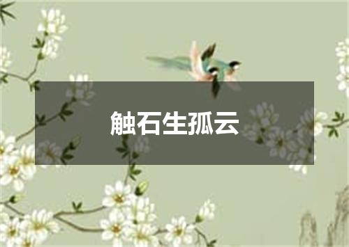 触石生孤云