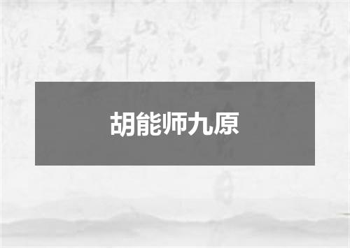 胡能师九原
