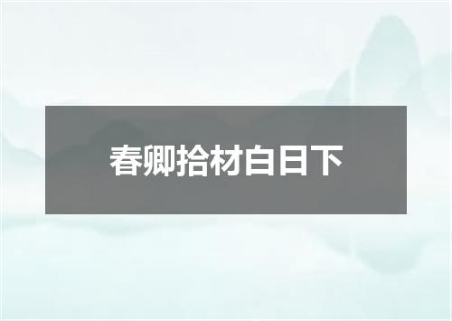 春卿拾材白日下