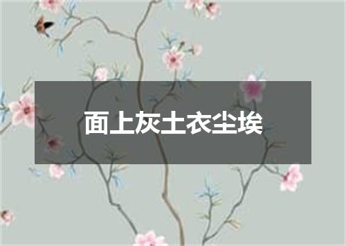 面上灰土衣尘埃