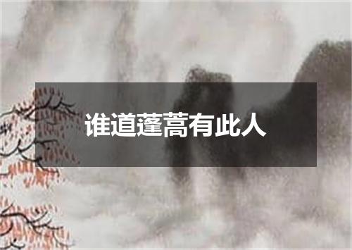 谁道蓬蒿有此人