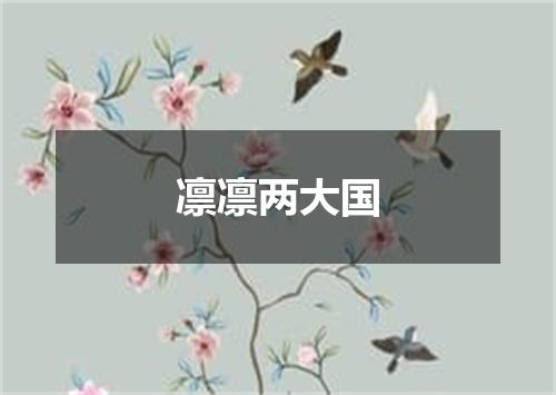 凛凛两大国