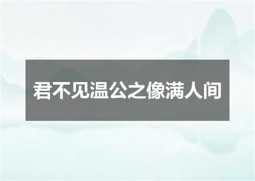 君不见温公之像满人间