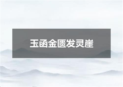 玉函金匮发灵崖