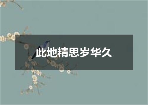 此地精思岁华久
