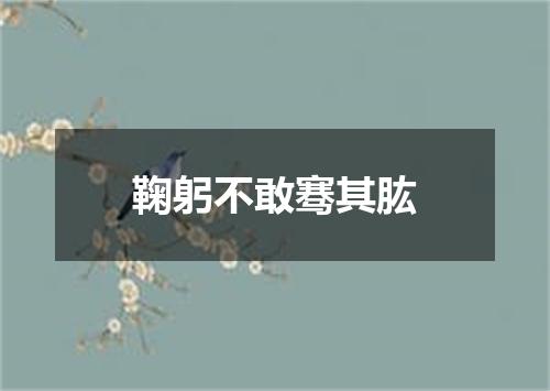 鞠躬不敢骞其肱