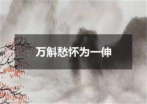 万斛愁怀为一伸