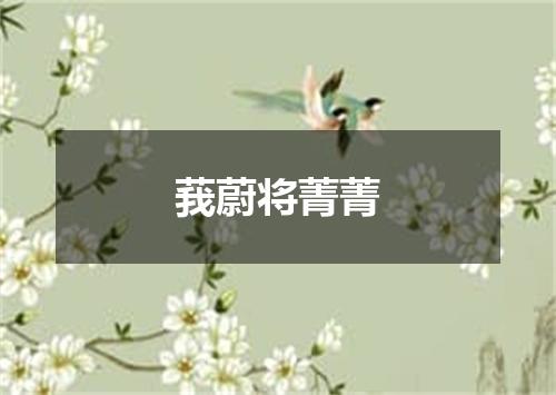 莪蔚将菁菁