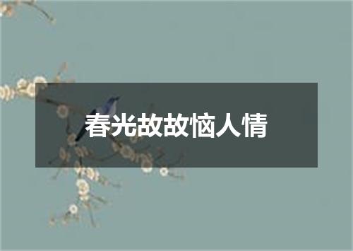 春光故故恼人情
