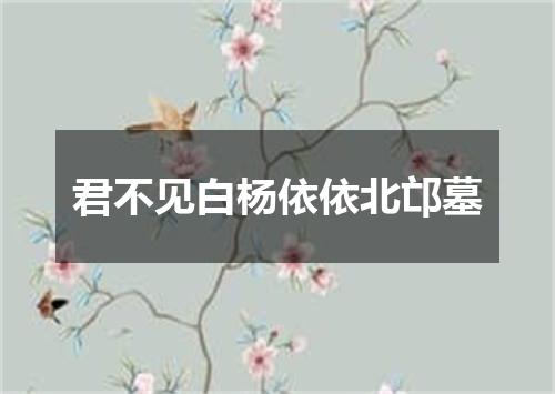 君不见白杨依依北邙墓