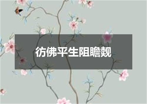 彷佛平生阻瞻觌