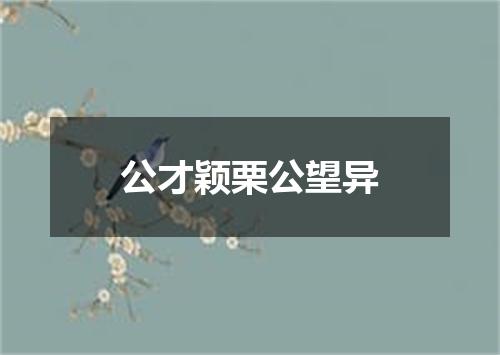 公才颖栗公望异
