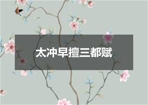 太冲早擅三都赋