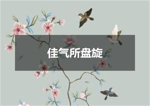 佳气所盘旋