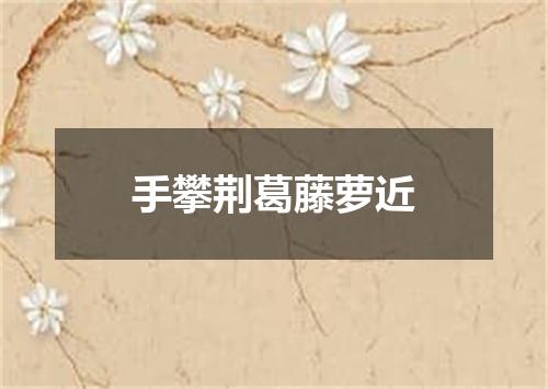 手攀荆葛藤萝近