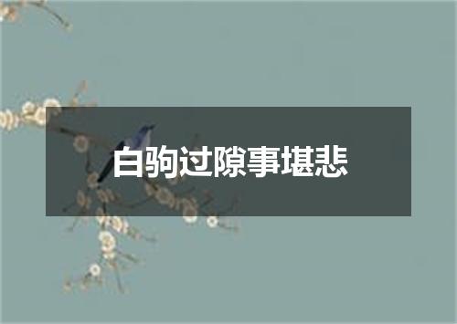 白驹过隙事堪悲