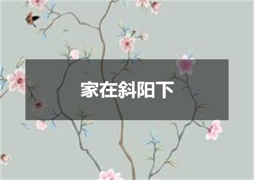 家在斜阳下