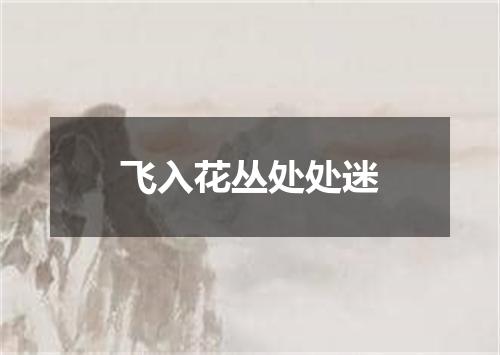 飞入花丛处处迷