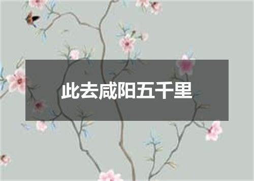 此去咸阳五千里