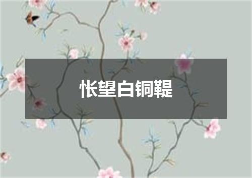 怅望白铜鞮
