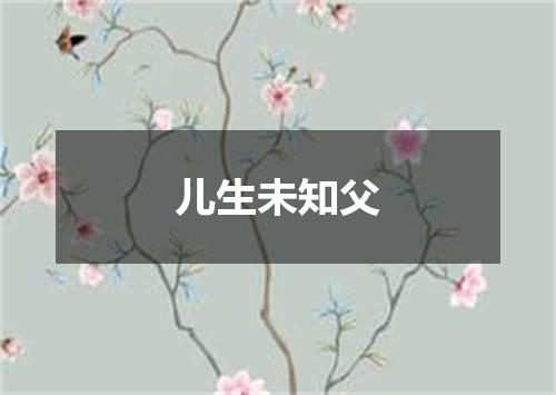 儿生未知父