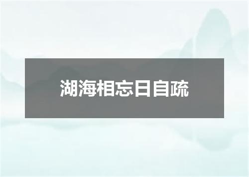 湖海相忘日自疏