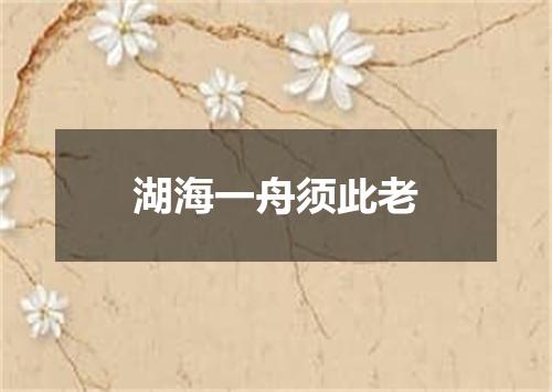 湖海一舟须此老