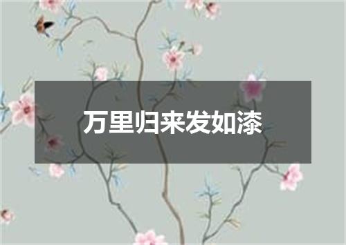万里归来发如漆