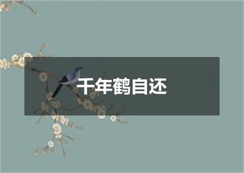 千年鹤自还