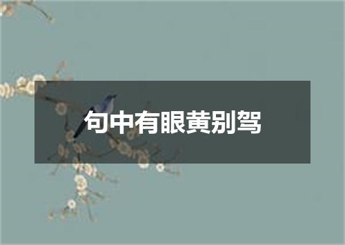 句中有眼黄别驾
