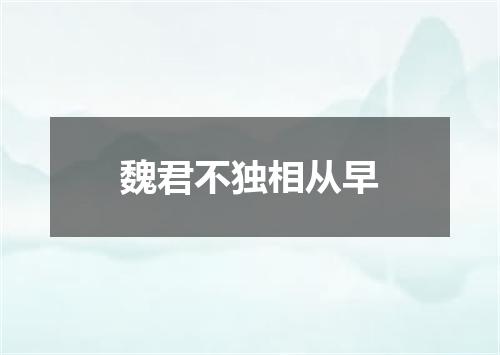 魏君不独相从早