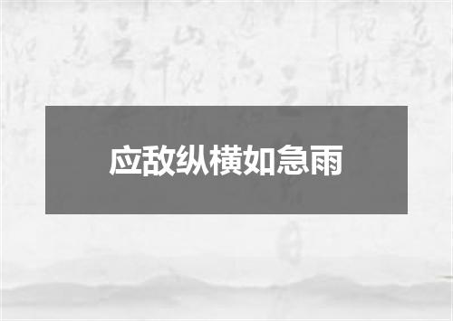 应敌纵横如急雨