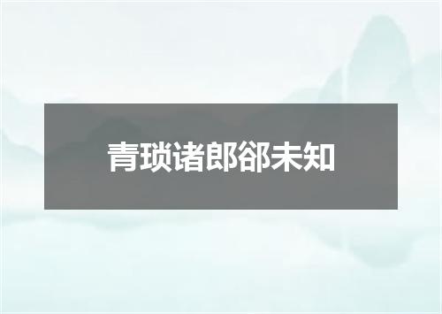 青琐诸郎郤未知