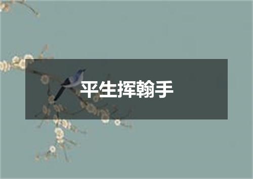 平生挥翰手