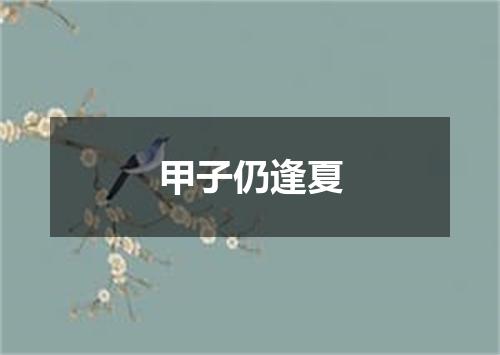 甲子仍逢夏