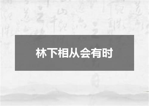林下相从会有时