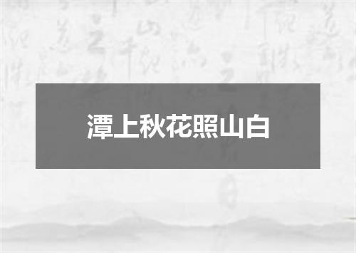 潭上秋花照山白