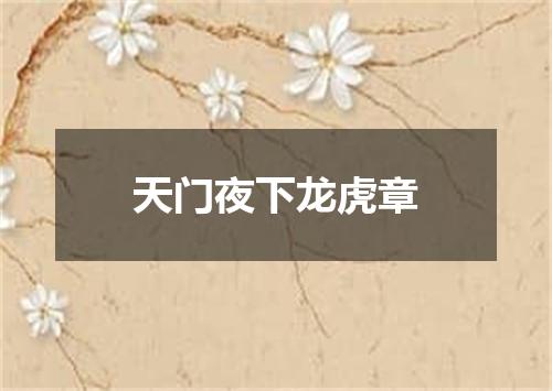天门夜下龙虎章