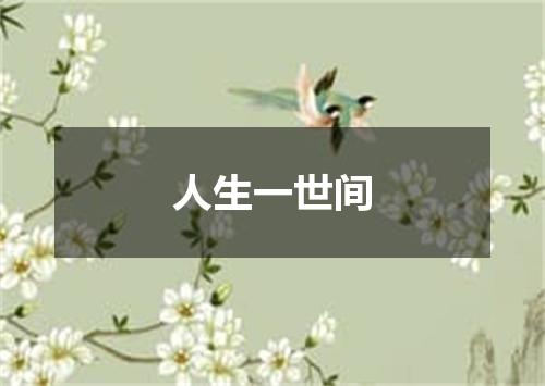 人生一世间