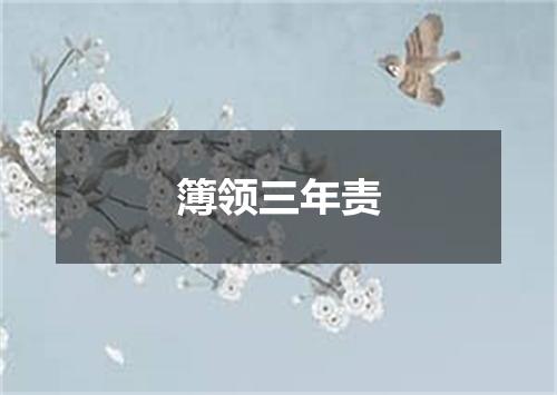 簿领三年责