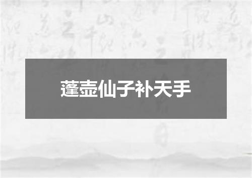 蓬壶仙子补天手